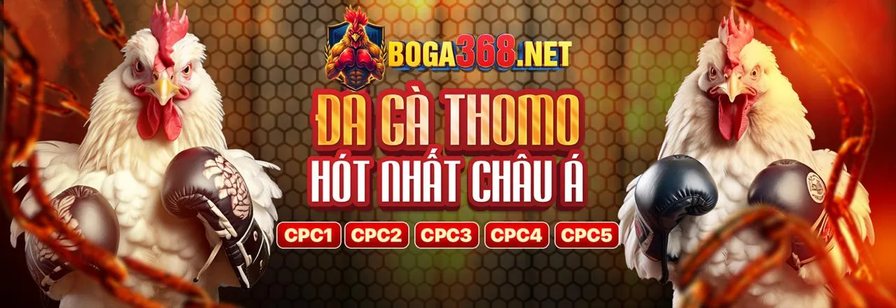 asia99 đăng nhập - Nền tảng cá cược trực tuyến hàng đầu