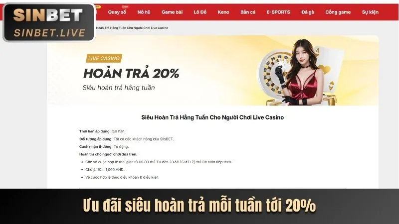 Live Casino asia99